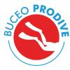 Buceo Prodive